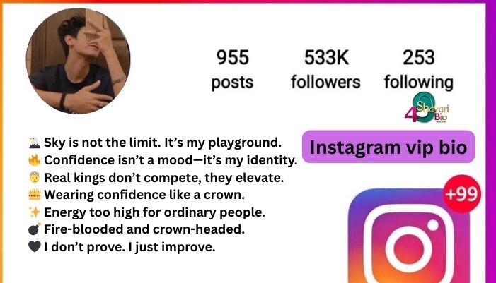 Instagram VIP Bio: 470+ Stylish & Unique Ideas to Elevate Your Profile