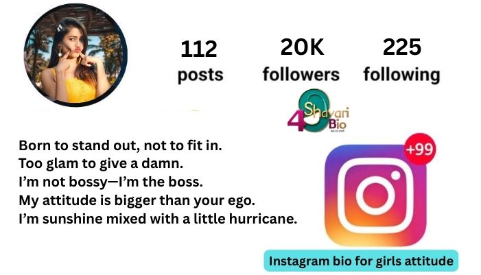 instagram bio for girls attitude
